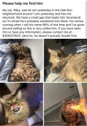 Lost Male Cat last seen veramendi, New Braunfels, TX 78132