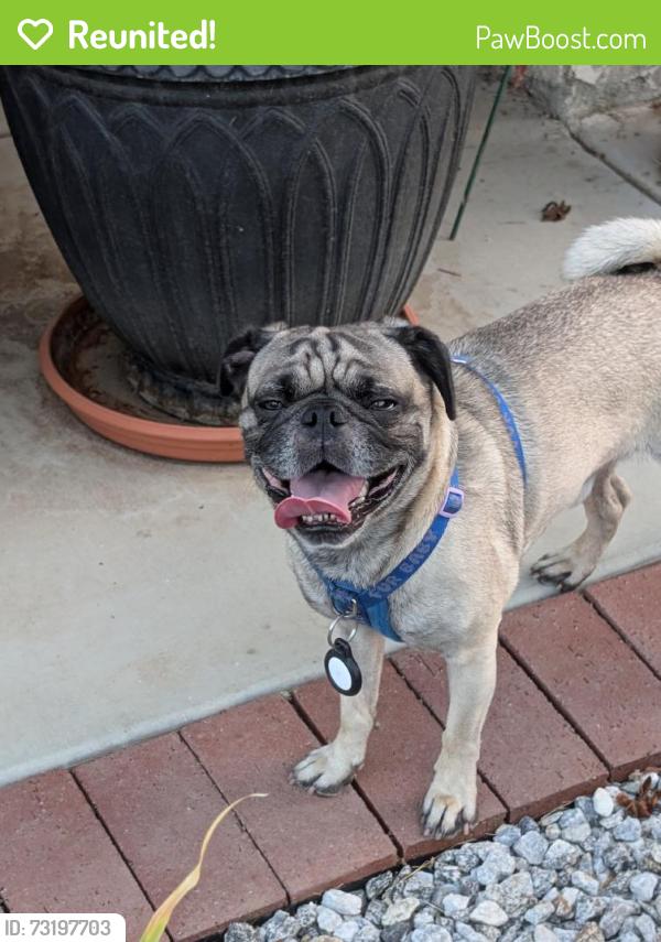 Reunited Male Dog last seen Near Monument Pkwy, Perris, CA 92570, USA, Perris, CA 92570