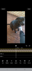 Lost Male Dog last seen Toohrah rd Londonderry, Londonderry, NSW 2753