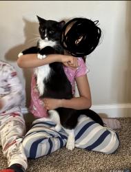 Lost Female Cat last seen King loop, Tracy, CA 95377