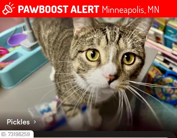 Lost Male Cat last seen 68th or 69th, Minneapolis, MN 55423
