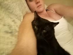 Lost Male Cat last seen Keith Harrow, Katy, TX 77449