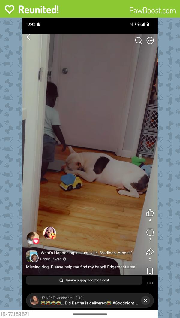 Reunited Male Dog last seen North Memorial Parkway, Huntsville, AL 35811