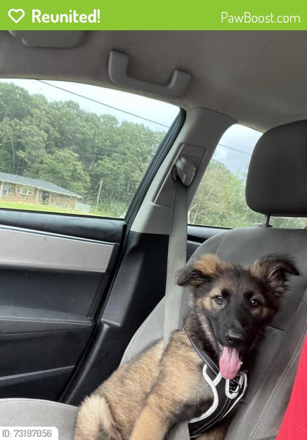 Reunited Male Dog last seen Near Avondale Public Library, Birmingham, AL 35222