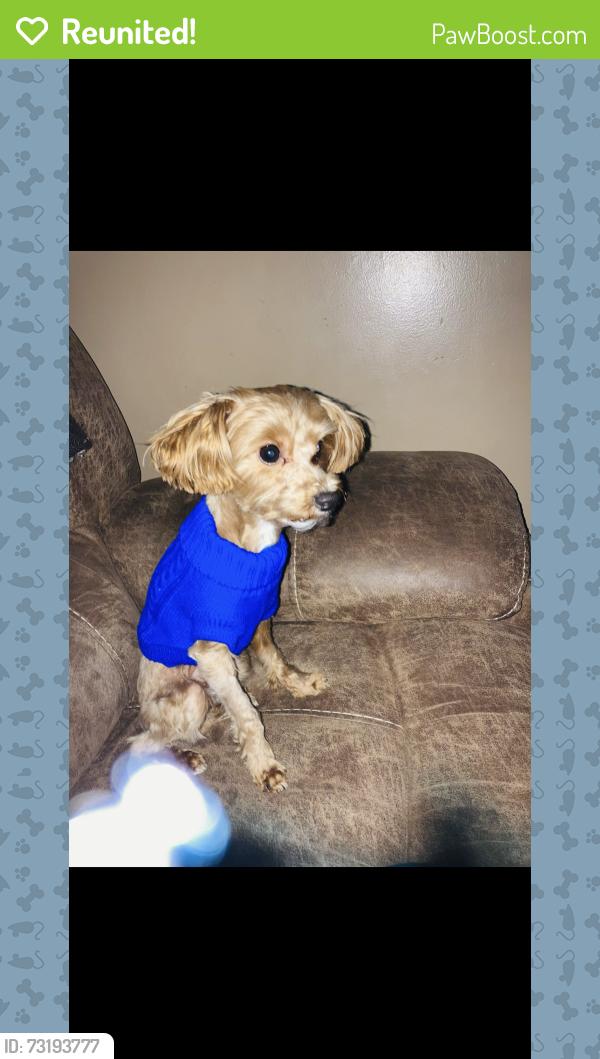 Reunited Male Dog last seen Coats Road and Lees Union Four Oaks, Johnston County, NC 27524
