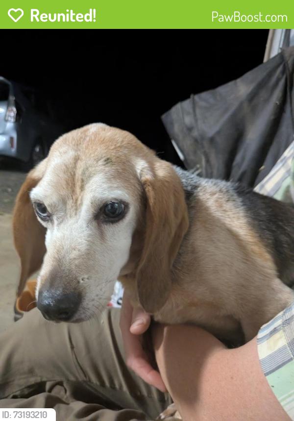 Reunited Male Dog last seen Tower Rd, Thomasville, NC 27360