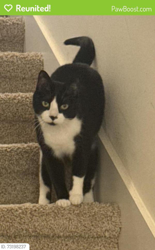 Reunited Male Cat last seen Raccoon Vallley Road, Heiskell, TN 37754