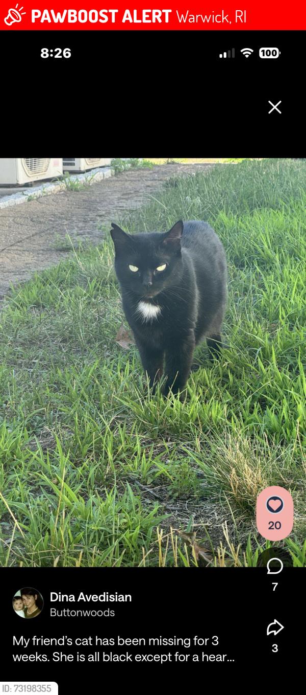 Lost Female Cat last seen Sunny cove, Warwick, RI 02889