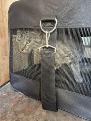 Found/Stray Female Cat last seen Peckham library, Greater London, England SE15 5UF
