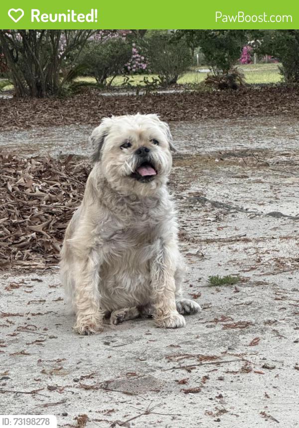 Reunited Male Dog last seen Whittaker and Kilbourne, Columbia, SC 29206