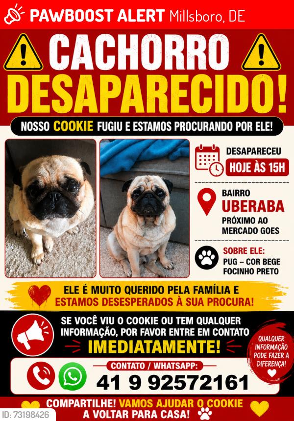 Lost Unknown Dog last seen Rua Palminor Rodrigues Ferreira, Millsboro, DE 19966