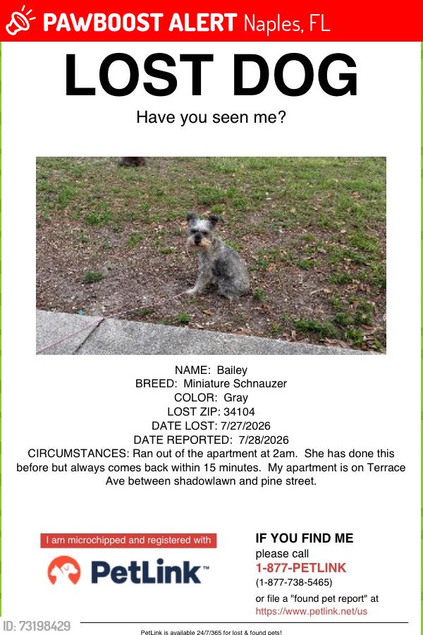 Lost Unknown Dog last seen East Naples, Naples, FL 34104