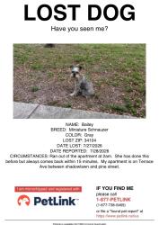 Lost Unknown Dog last seen East Naples, Naples, FL 34104