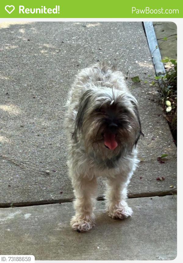 Reunited Unknown Dog last seen Palm Falls Ct, Copperfield Westcreek Village, TX 77095