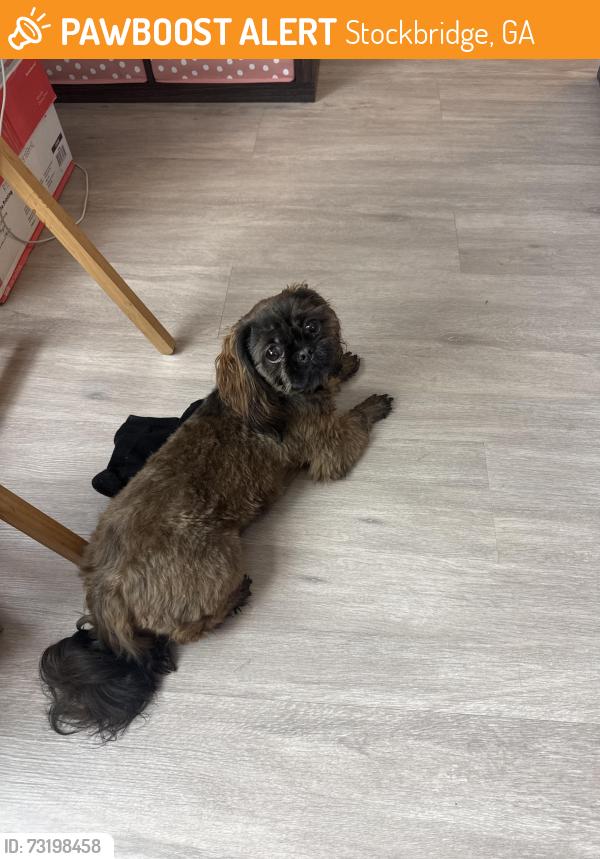 Found/Stray Female Dog last seen Near Hatcher Drive, Stockbridge, GA 30281