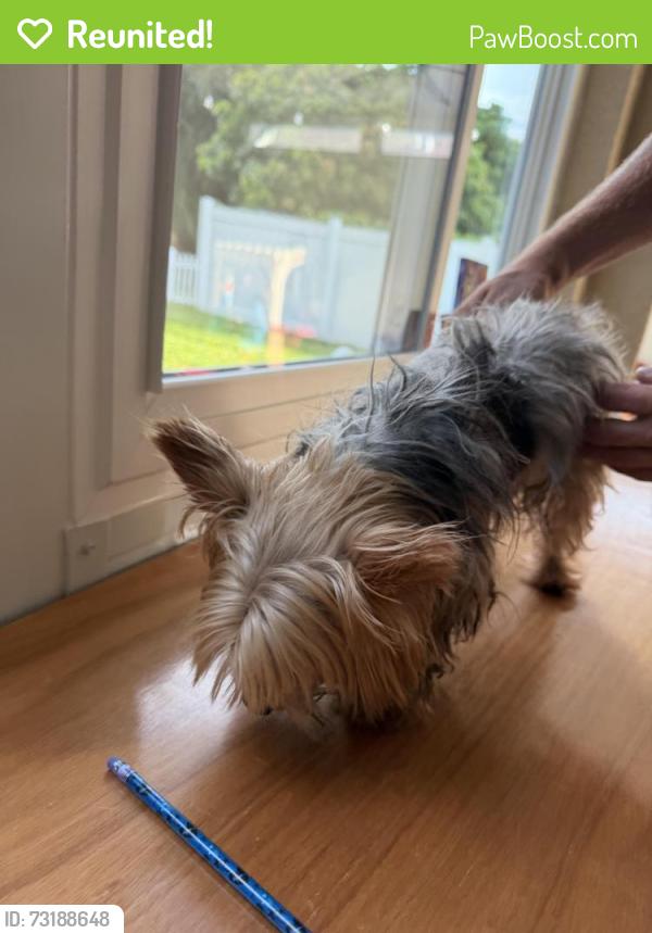 Reunited Male Dog last seen Silverlake, Bradenton, FL 34208