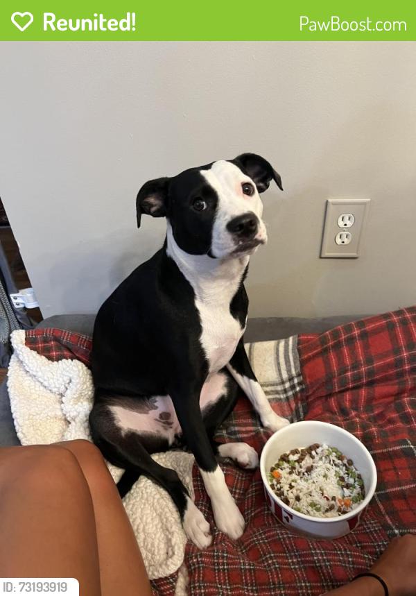 Reunited Female Dog last seen Parkside Manor and Eleanor C Lawrence Park, Chantilly, VA 20151