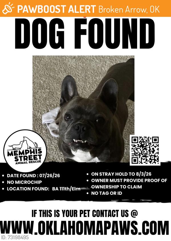 Found/Stray Unknown Dog last seen 111th/Elm, Broken Arrow, OK 74011