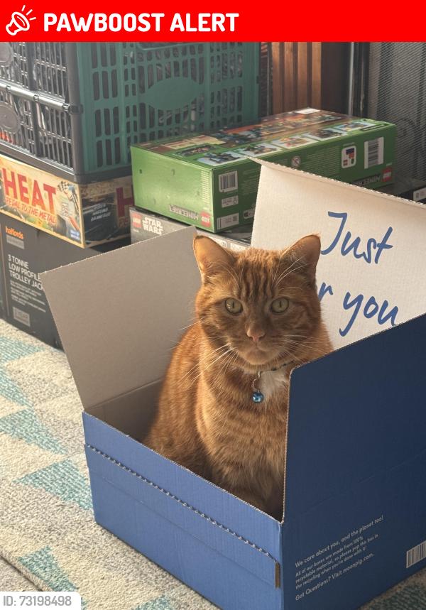 Lost Male Cat last seen East court road, Burbage, England SN8 3TF