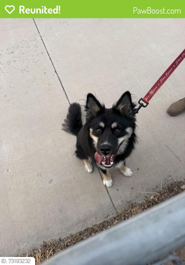 Reunited Male Dog last seen Trinidad St / 37th St Evans, Co, Evans, CO 80620