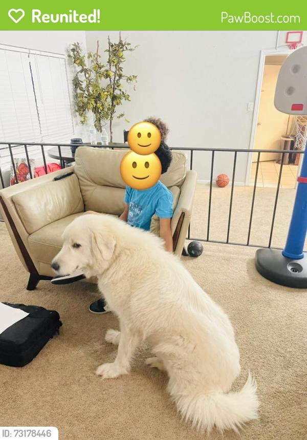 Reunited Female Dog last seen By Oakdale Gym/ Stonebridge, Gretna, LA 70056