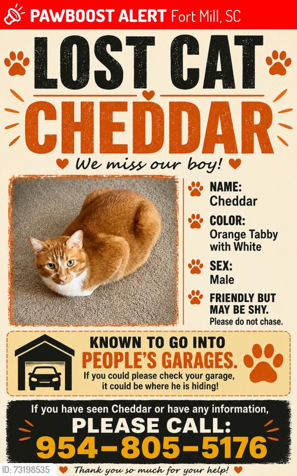 Lost Male Cat last seen Altura rd and Pleasant Rd, Fort Mill, SC 29708