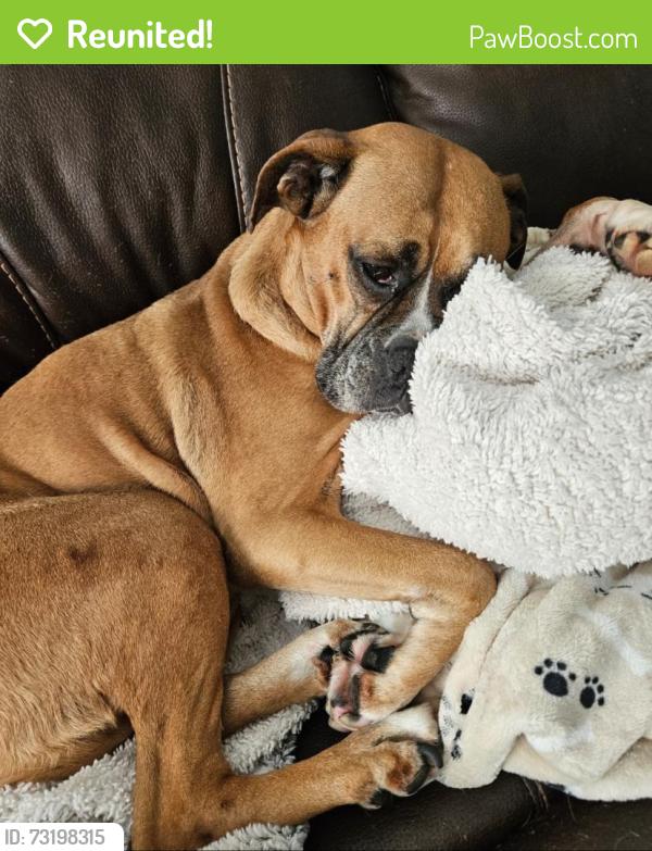 Reunited Female Dog last seen Baldwin Ave/Wayland, Roanoke, VA 24013
