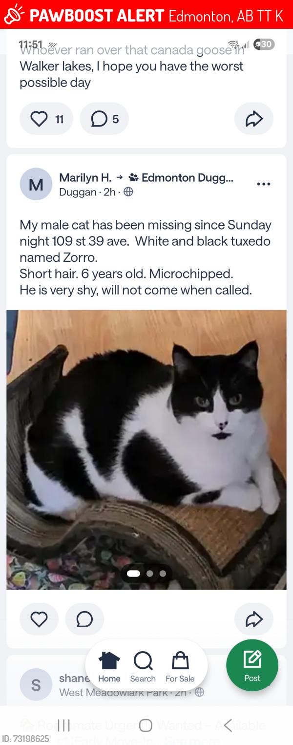Lost Male Cat last seen Near st & 39 ave nw, Edmonton, AB T6T 2K2