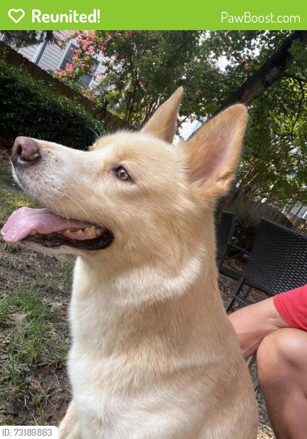 Reunited Male Dog last seen Big Sandy Dr, Raleigh, NC 27616