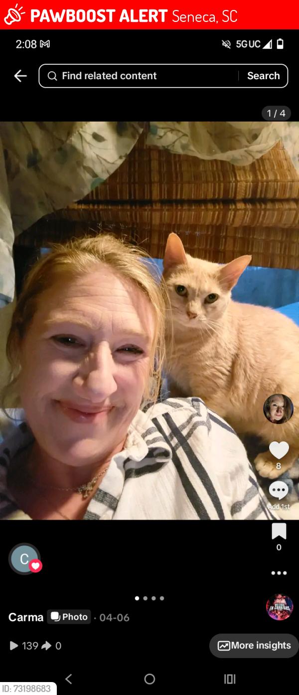 Lost Female Cat last seen Godford and hope ave, Seneca, SC 29678