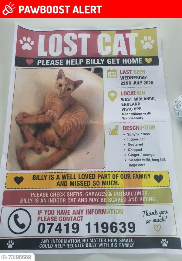 Lost Male Cat last seen Crankhall lane, West Midlands, England WS10 0PS