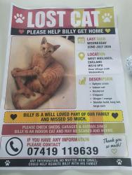 Lost Male Cat last seen Crankhall lane, West Midlands, England WS10 0PS