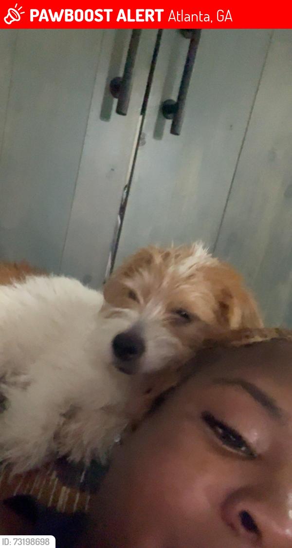 Lost Male Dog last seen Scruggs cir, Atlanta, GA 30317