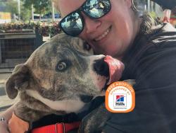 Shelter Stray Male Dog last seen LEWSTON IDAHO, 5501 E Van Buren St, Phoenix, AZ 85008, USA