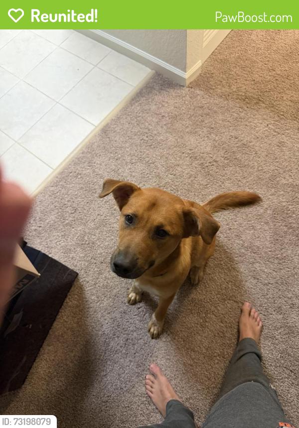 Reunited Male Dog last seen Near, Wellington, FL 33467