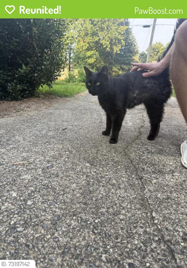 Reunited Unknown Cat last seen Clover Street, Athens, GA 30606