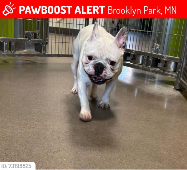 Lost Male Dog last seen Florida st, Brooklyn Park, MN 55443