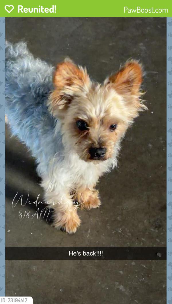Reunited Male Dog last seen Orlando Dr and Cunningham, Kind Rd, Ocala area, San Jose, CA 95122
