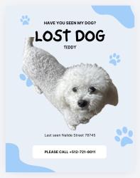 Reunited Male Dog last seen Nalide street & mount Vernon dr, Austin, TX 78745
