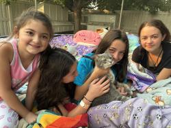 Reunited Female Cat last seen W Main St. and Linder, Kuna, ID 83634