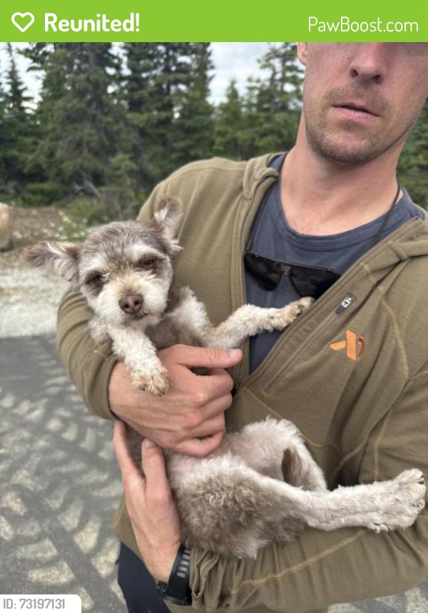 Reunited Female Dog last seen Avalanche circle, Anchorage, AK 99516