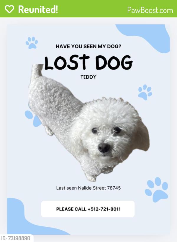 Reunited Male Dog last seen Nalide street & mount Vernon dr, Austin, TX 78745