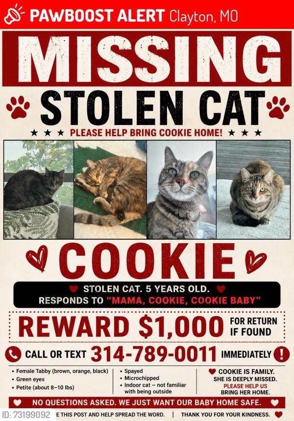Lost Female Cat last seen Bonhomme, Clayton, MO 63105