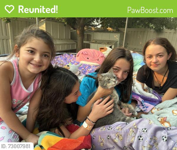 Reunited Female Cat last seen W Main St. and Linder, Kuna, ID 83634