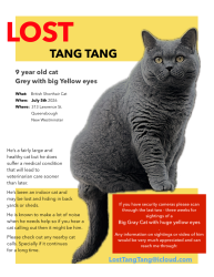 Lost Male Cat last seen Lawrence st. & Ewen, New Westminster, BC V3M 5L3