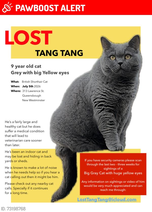 Lost Male Cat last seen Lawrence st. & Ewen, New Westminster, BC V3M 5L3