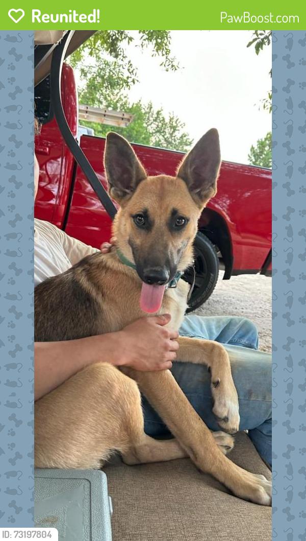 Reunited Male Dog last seen Brooks road, Mauldin, SC 29662