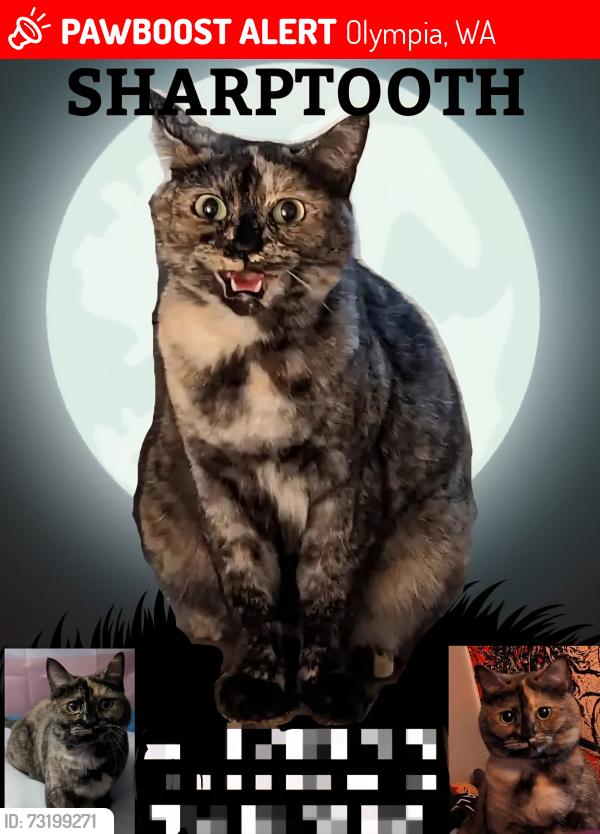 Lost Female Cat last seen Near the Eastside water tower, Olympia, WA 98501