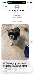Reunited Female Dog last seen Highlands road and River Rock Rd, Franklin, NC 28734