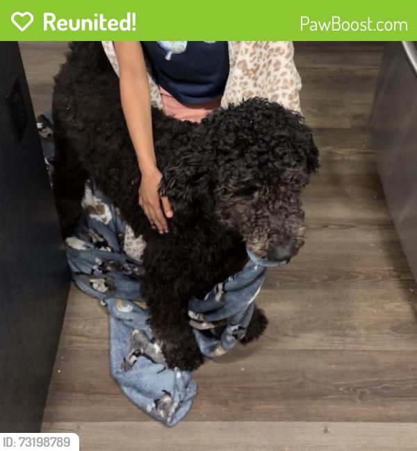 Reunited Male Dog last seen Near Huss street, Lincolnton, NC 28092